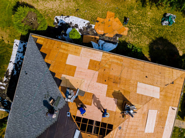 Best Roof Waterproofing Services  in Caldwell, OH