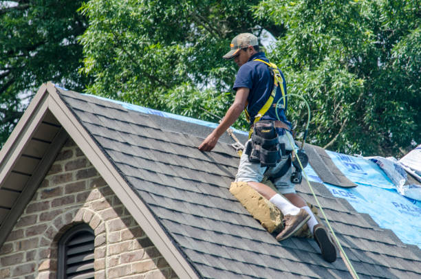 Best Metal Roofing Contractor  in Caldwell, OH